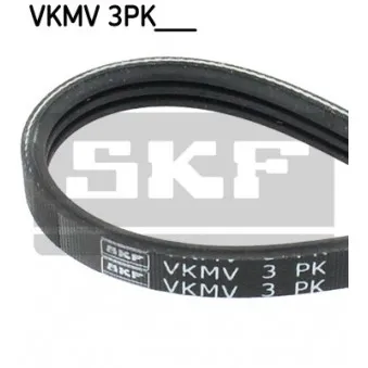 Courroie trapézoïdale à nervures SKF VKMV 3PK814