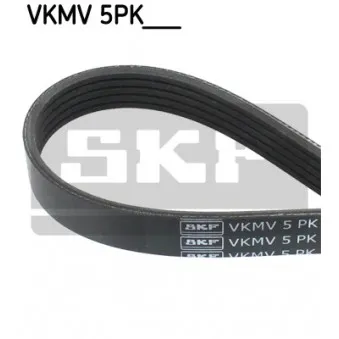 Courroie trapézoïdale à nervures SKF VKMV 5PK1004