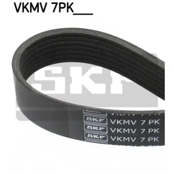 Courroie trapézoïdale à nervures SKF VKMV 7PK1646