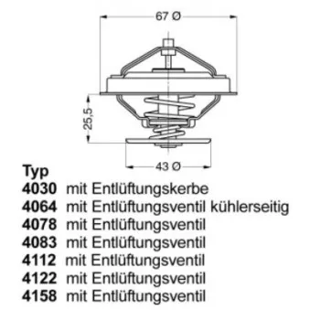 Thermostat d'eau WAHLER 4064.75D