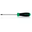 Tournevis TORX TOPTUL FFAB2510 - Visuel 1