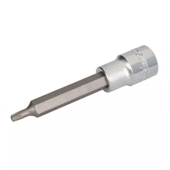 Embout Torx sur douille 1/2" HANS 4024-4T25