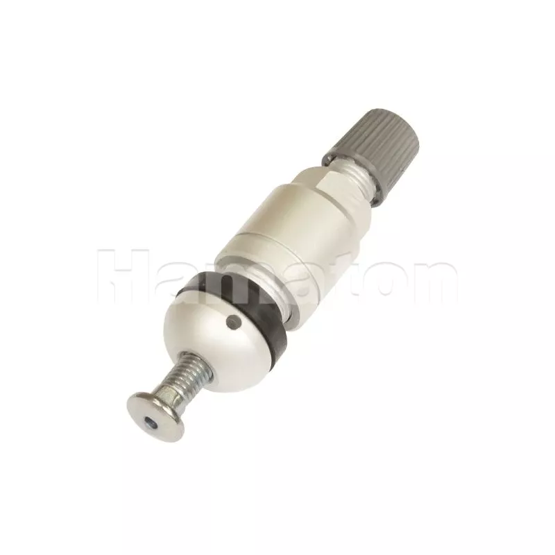Valve de roue PROFITOOL VL-TPMS-20