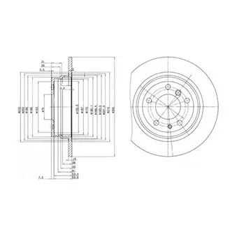 Jeu de 2 disques de frein arrière DELPHI BG2431