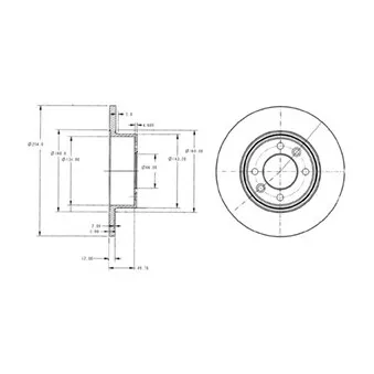 Jeu de 2 disques de frein arrière DELPHI BG2703