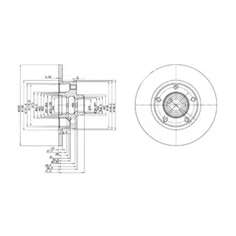 Jeu de 2 disques de frein arrière DELPHI BG2714