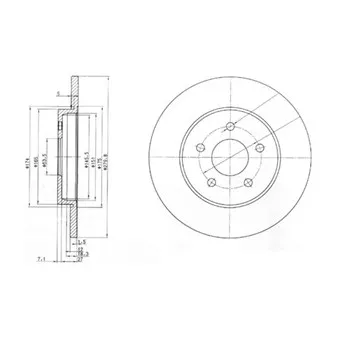 Jeu de 2 disques de frein arrière DELPHI BG3663