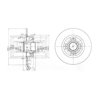 Jeu de 2 disques de frein arrière DELPHI BG3888