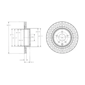 Jeu de 2 disques de frein arrière DELPHI BG4307