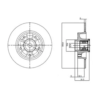 Jeu de 2 disques de frein arrière DELPHI BG9112RSC