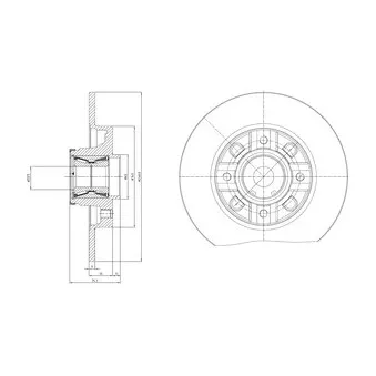 Jeu de 2 disques de frein arrière DELPHI BG9116RS