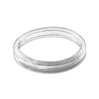 Bague d'étanchéité, gaine de suralimentation OE 13712247395