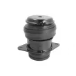 Support moteur REINHOCH RH11-0012 - Visuel 2