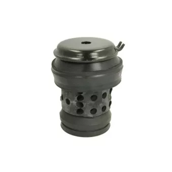 Support moteur REINHOCH RH11-0018