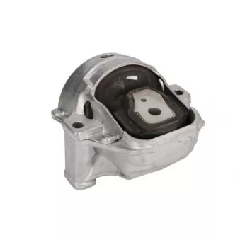 Support moteur REINHOCH RH11-0142