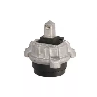 Support moteur REINHOCH RH11-3047