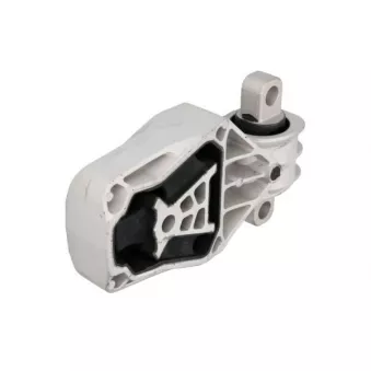 Support moteur REINHOCH RH11-3059