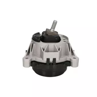 Support moteur REINHOCH RH11-3066