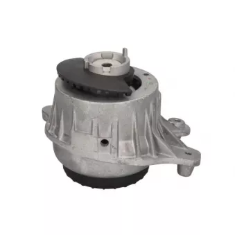 Support moteur REINHOCH RH11-3096