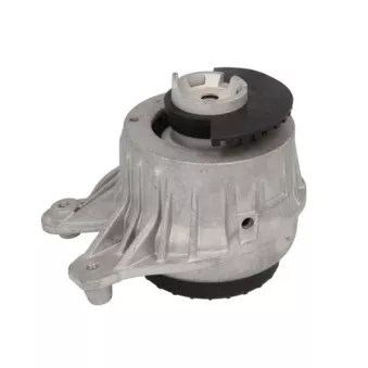 Support moteur REINHOCH RH11-3106