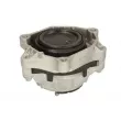 Support moteur REINHOCH RH11-3111 - Visuel 2