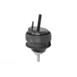 Support moteur REINHOCH RH11-4021 - Visuel 2