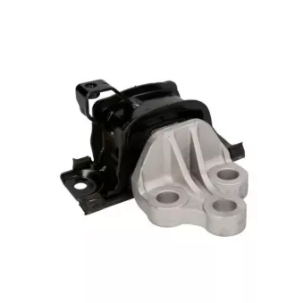 Support moteur REINHOCH RH11-5069