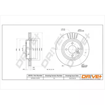 Jeu de 2 disques de frein avant Dr!ve+ DP1010.11.0791