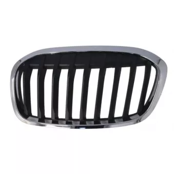 Grille de radiateur avant gauche BLIC 6502-07-0071993P