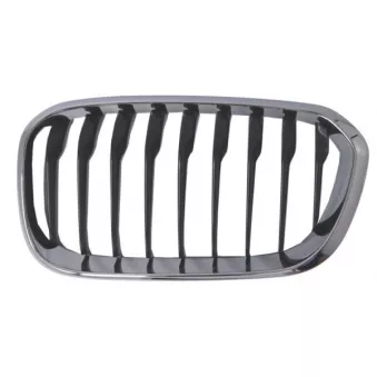 Grille de radiateur avant gauche BLIC 6502-07-0086997CP