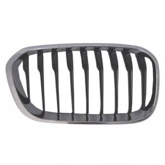 Grille de radiateur avant droit BLIC 6502-07-0086998CP