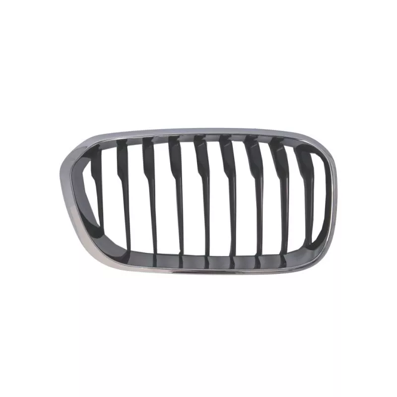 Grille de radiateur avant droit BLIC 6502-07-0086998CP