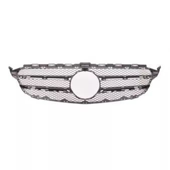 Grille de radiateur BLIC 6502-07-3521990P