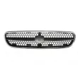 Grille de radiateur BLIC 6502-07-6813994K - Visuel 1