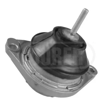 Support moteur avant droit DÜRER SM8138