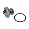 Thermostat diesel 87°-102°C YOUNG PARTS 4254-110 - Visuel 1