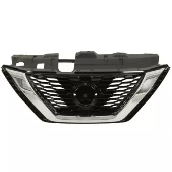 Grille de radiateur BLIC 6502-07-1617995P