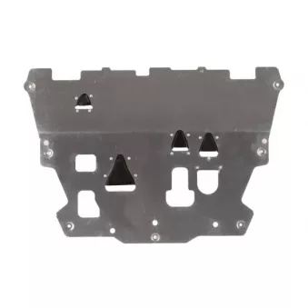 Cache moteur BLIC 6601-02-9041861AP