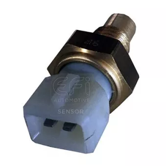 Sonde de température, liquide de refroidissement EFI AUTOMOTIVE 295007