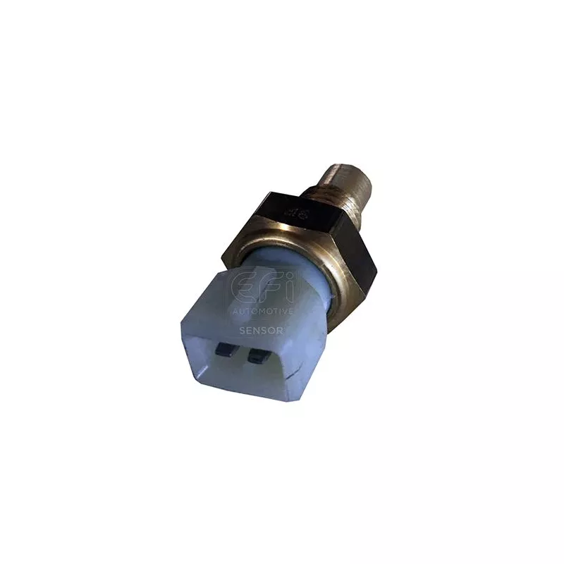 Sonde de température, liquide de refroidissement EFI AUTOMOTIVE 295007