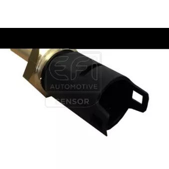 Sonde de température, liquide de refroidissement EFI AUTOMOTIVE 295059