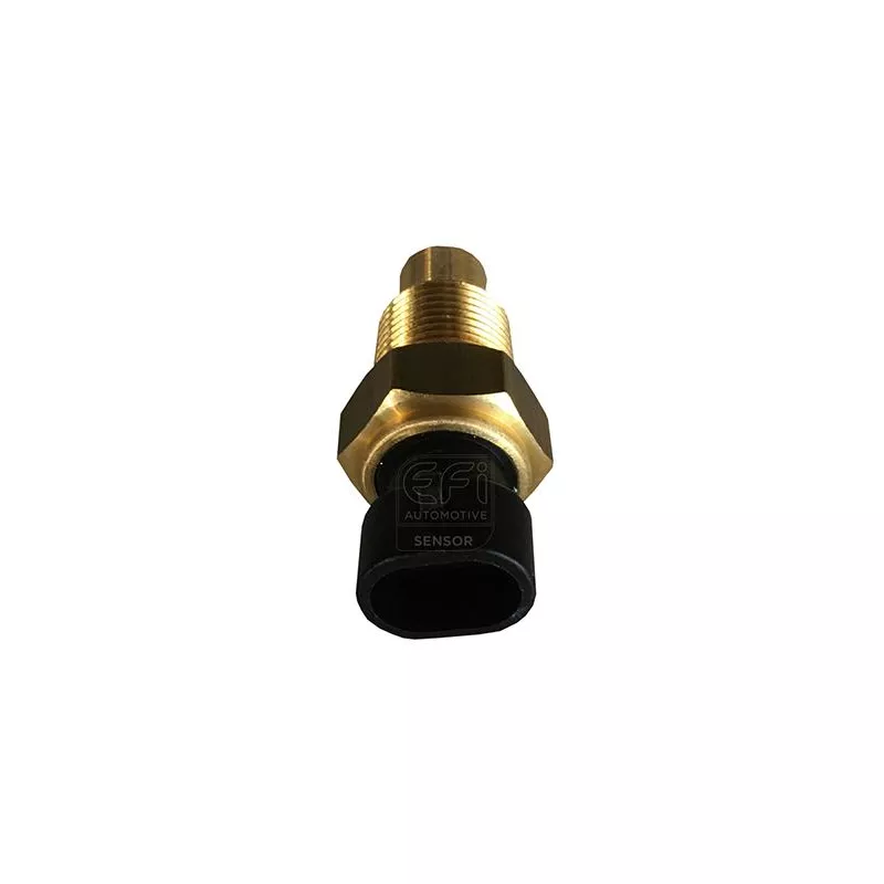 Sonde de température, liquide de refroidissement EFI AUTOMOTIVE 295067