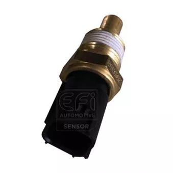 Sonde de température, liquide de refroidissement EFI AUTOMOTIVE 295068