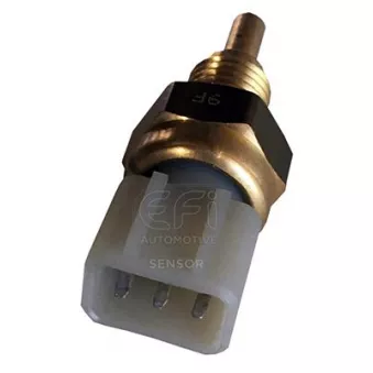 Sonde de température, liquide de refroidissement EFI AUTOMOTIVE 295073