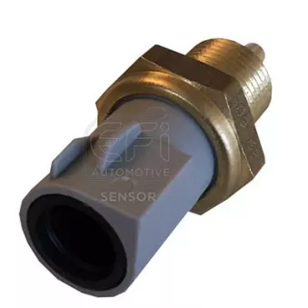 Sonde de température, liquide de refroidissement EFI AUTOMOTIVE 295085