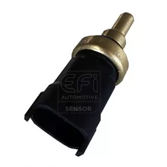 Sonde de température, liquide de refroidissement EFI AUTOMOTIVE 295098