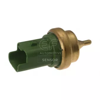 Sonde de température, liquide de refroidissement EFI AUTOMOTIVE 295143