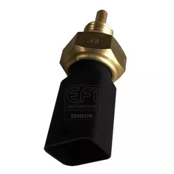 Sonde de température, liquide de refroidissement EFI AUTOMOTIVE 295150