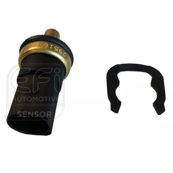 Sonde de température, liquide de refroidissement EFI AUTOMOTIVE 295163