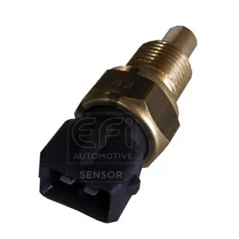 Sonde de température, liquide de refroidissement EFI AUTOMOTIVE 295171